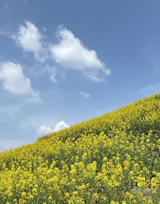 【旅途瞬間志】看花去