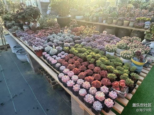 【旅途瞬間志】賞景