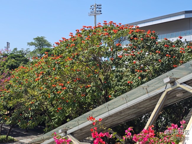 【春節(jié)符號】節(jié)日里