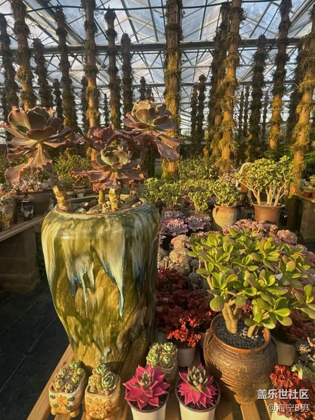 【旅途瞬間志】賞景