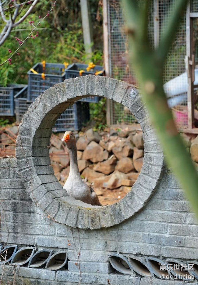 【旅途瞬間志】進(jìn)山