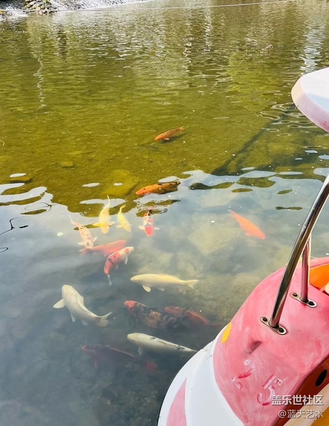 【旅途瞬間志】出去玩