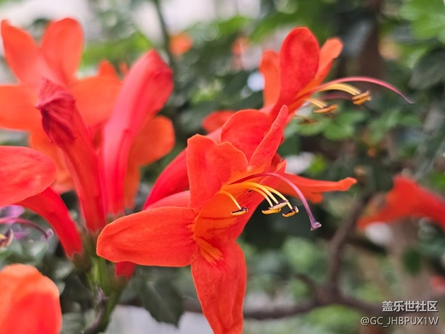 【昆明星部落】+光影年味