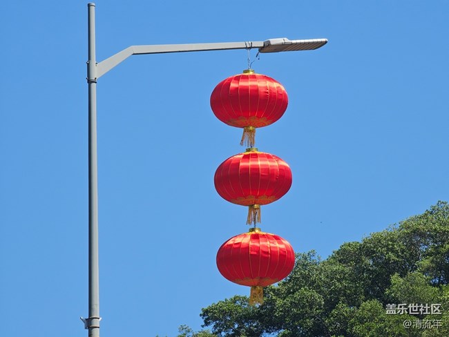 【福滿新歲】年年有余