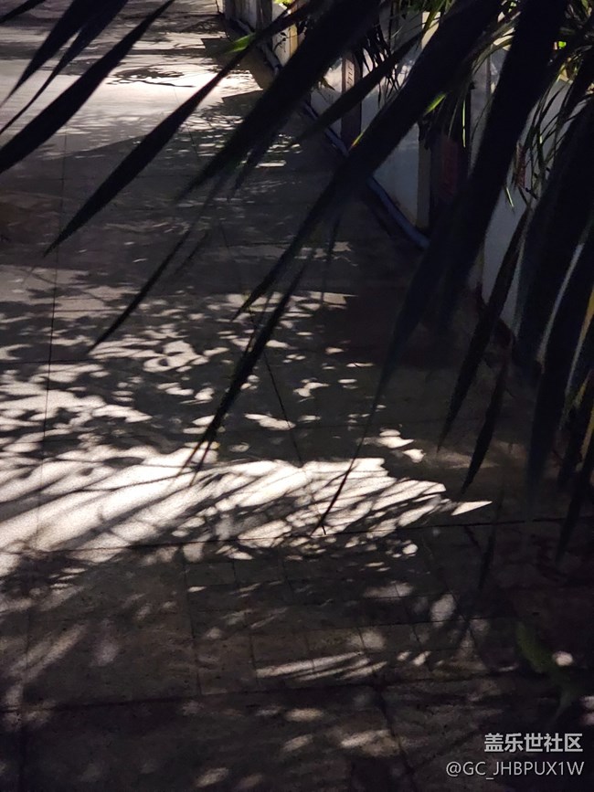 【春節(jié)符號】 紅燈籠