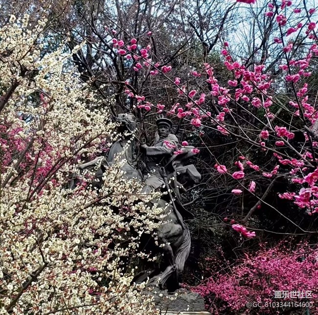 【旅途瞬間志】尋梅
