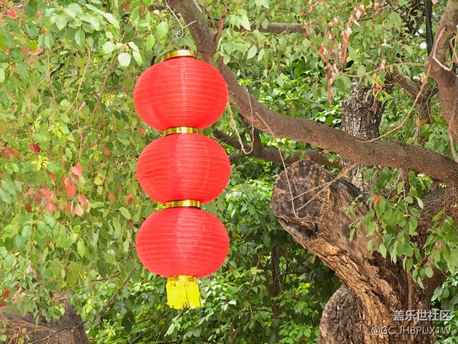 【春節(jié)符號】 紅燈籠