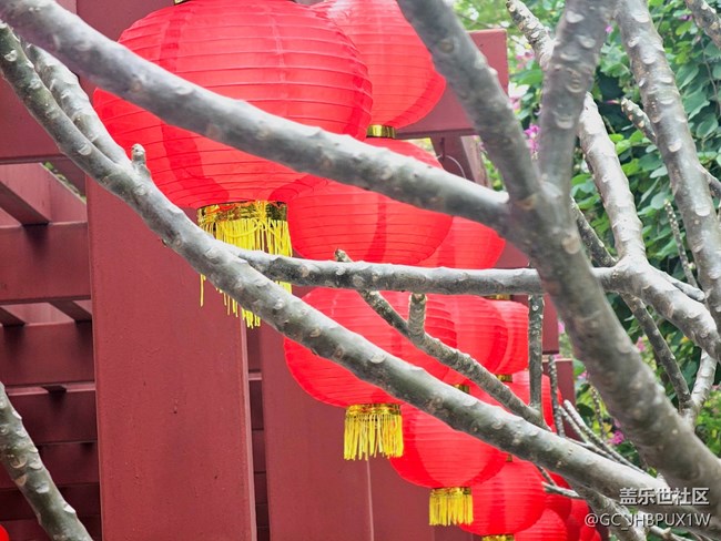 【春節(jié)符號】 紅燈籠