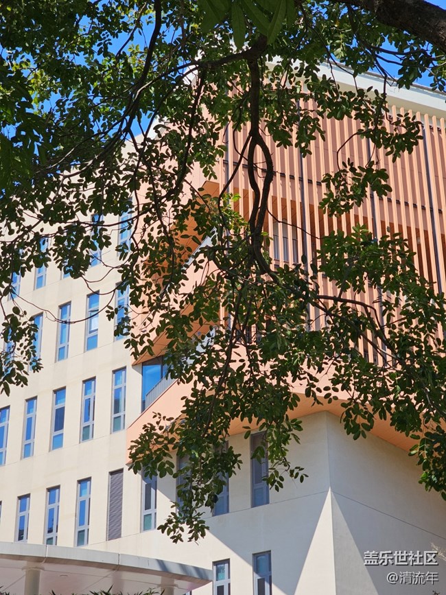 【春節(jié)符號】有花開