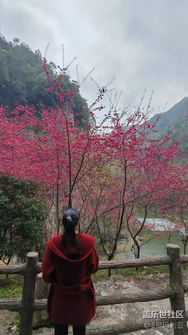 【旅途瞬間志】春節(jié)游玩