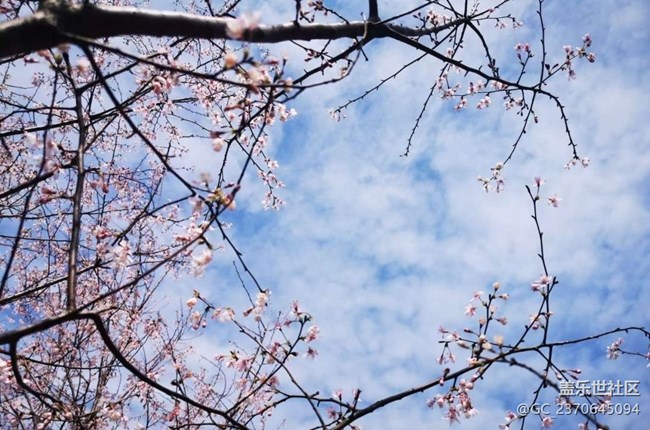 【旅途瞬間志】黃梅一日游