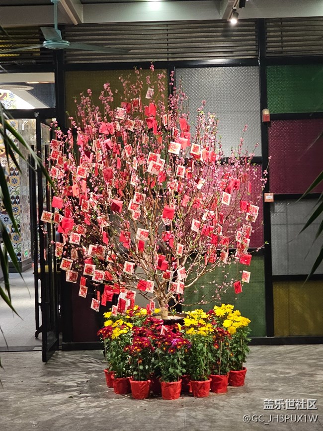 【Galaxy影像】#新年新視角