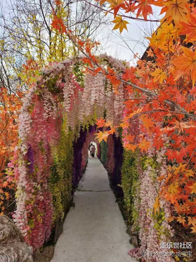 本溪小市一莊|Galaxy S系列品鑒之旅 本溪小市一莊|Galaxy S系列品鑒之旅