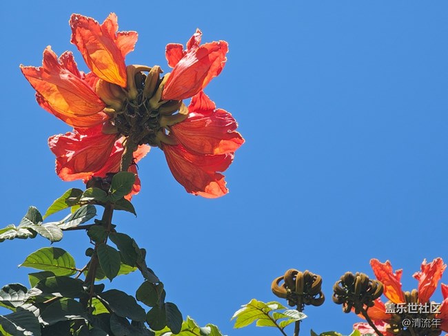 【春節(jié)符號】節(jié)日里