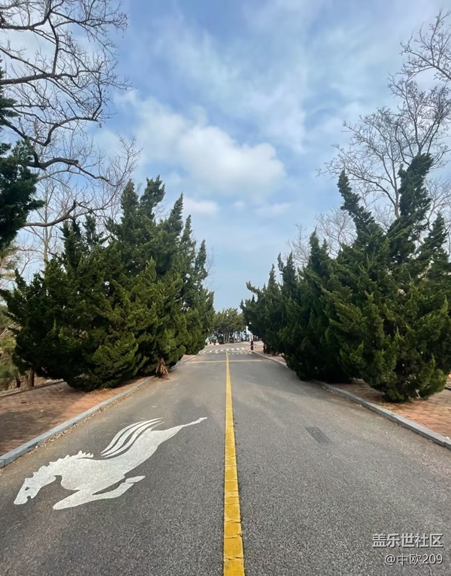 【旅途瞬間志】養(yǎng)馬島