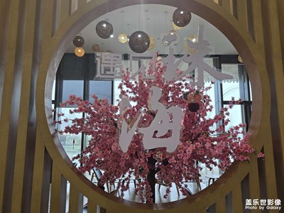 【光影一刻】整個廣東都下雨了，只能待博物館