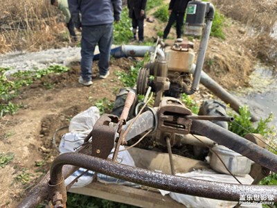 快樂還是這種快樂只是我們長大了