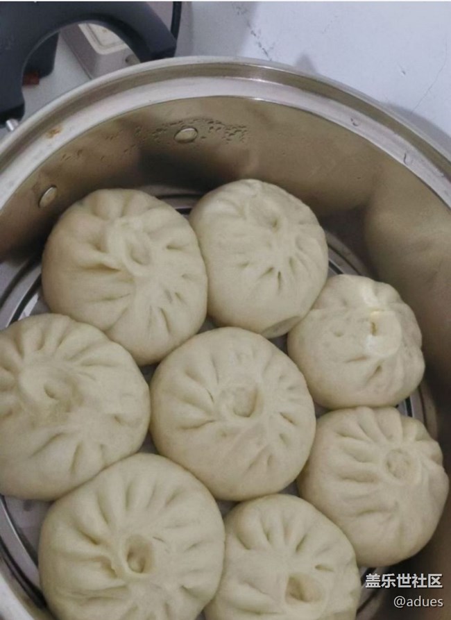 【人間知春味】酸菜餡包子