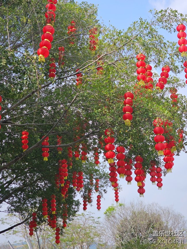 【春節(jié)符號】城市新年