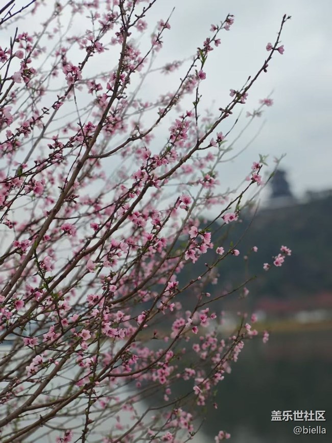 【旅途瞬間志】園博園