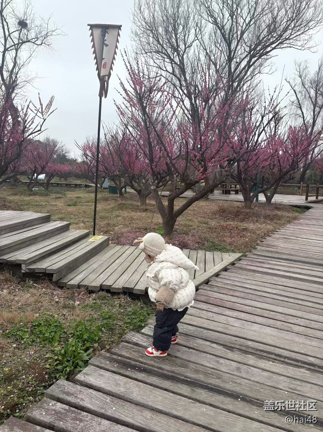 【旅途瞬間志】出游