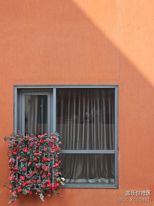 【福滿新歲】新年