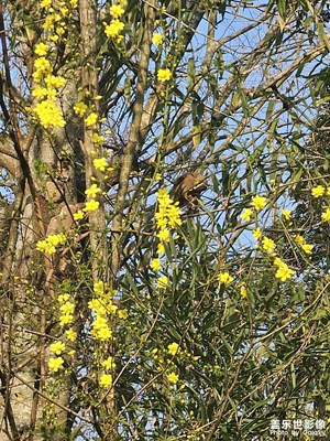 【光影一刻】生機(jī)勃勃