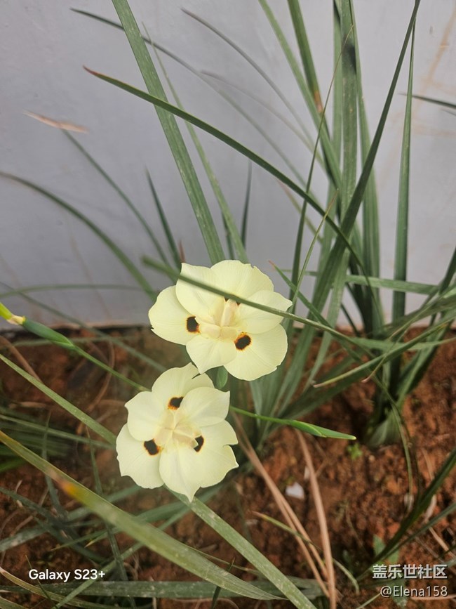 【旅途瞬間志】河邊驚喜