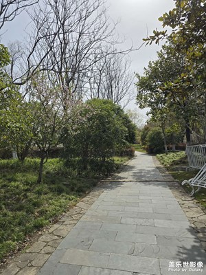 【光影一刻】+公園