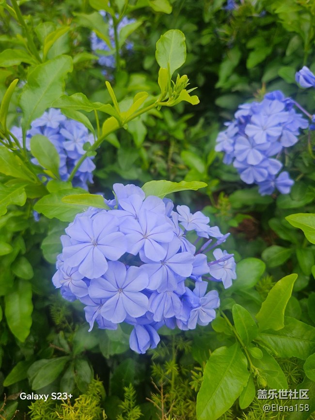 【旅途瞬間志】河邊驚喜