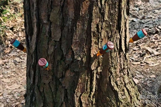 【旅途瞬間志】爬山