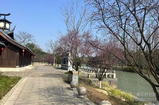 【旅途瞬間志】探春