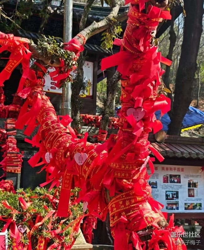 【旅途瞬間志】爬山