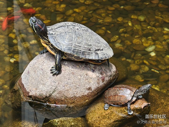 【旅途瞬間志】旅途隨拍