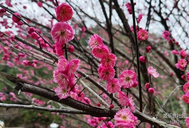 【旅途瞬間志】新春祈福