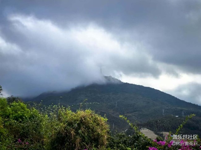 【旅途瞬間志】踏春