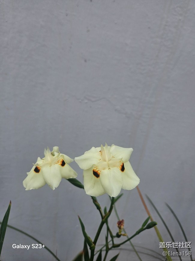 【旅途瞬間志】河邊驚喜