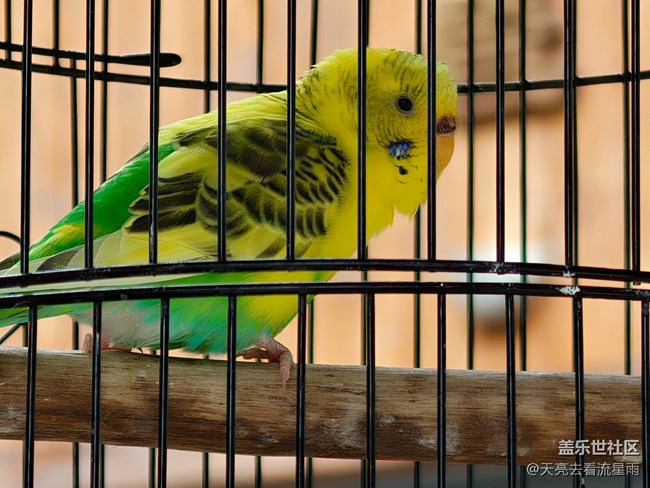 【旅途瞬間志】旅途隨拍