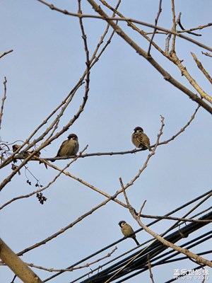 【光影一刻】+路途的風景