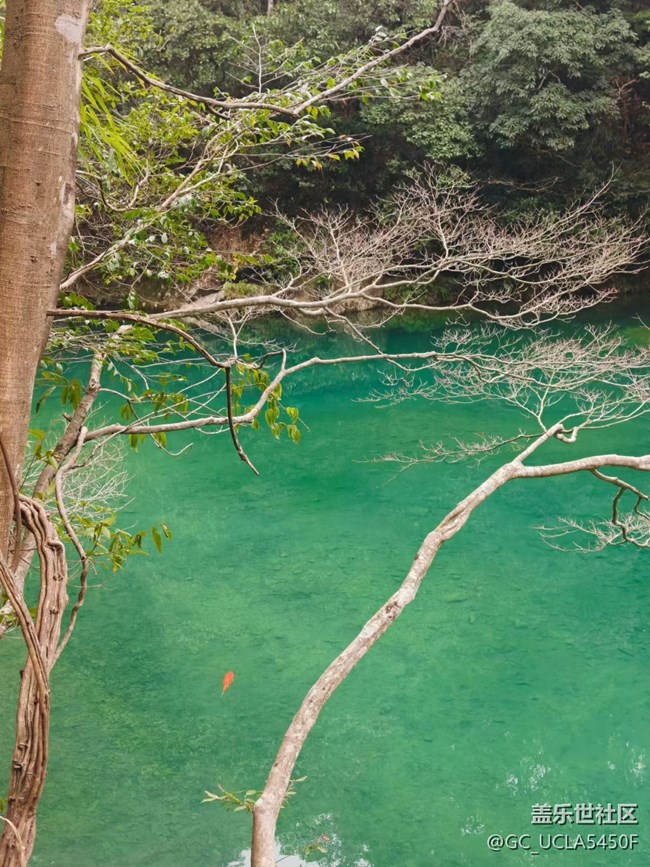 【旅途瞬間志】山里游