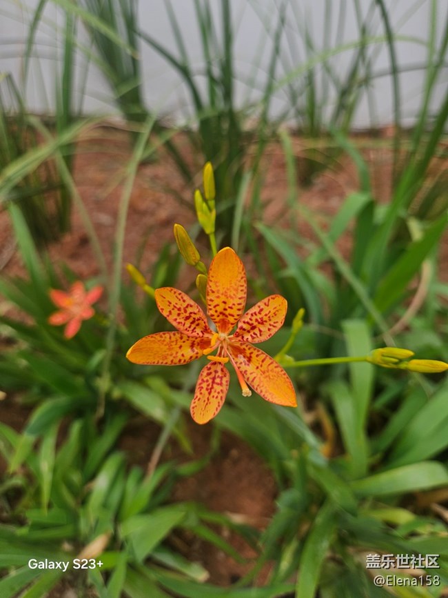 【旅途瞬間志】河邊驚喜