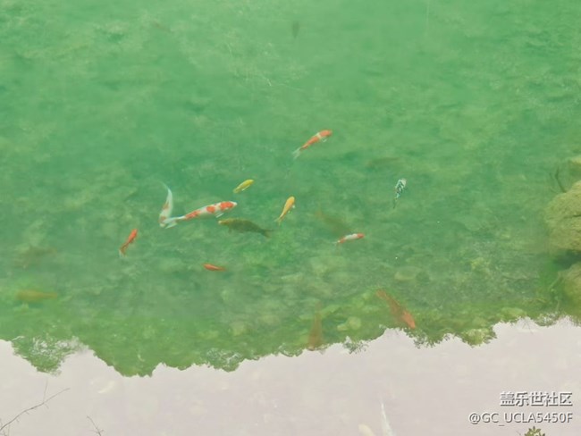 【旅途瞬間志】山里游