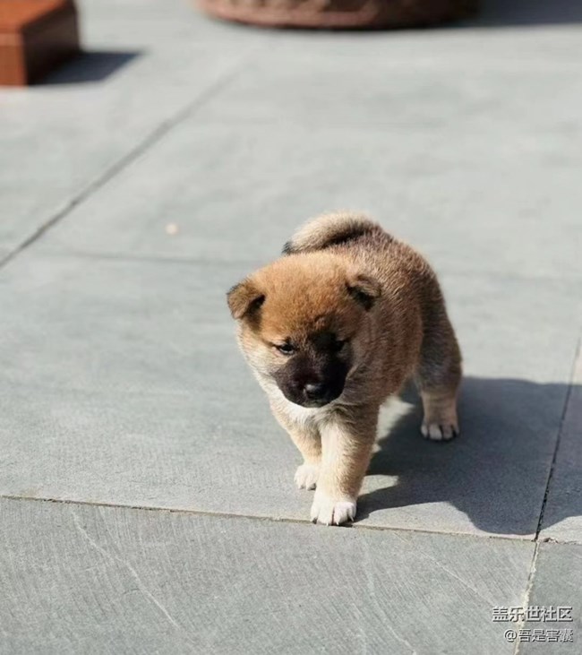 【旅途瞬間志】午后燒烤