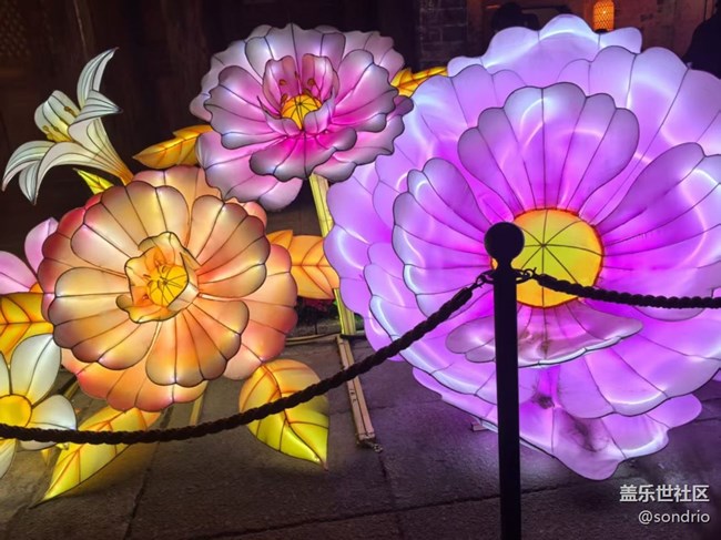 【旅途瞬間志】看花燈