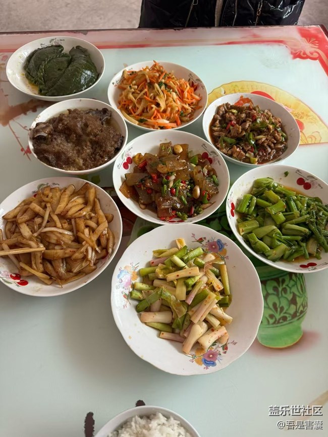 【人間知春味】家庭煮夫