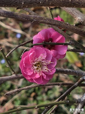 新的一年，新的希望