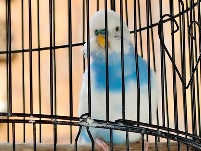 【光影一刻】景德鎮(zhèn)隨拍