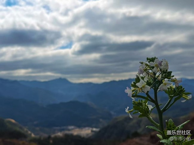 【旅途瞬間志】體驗(yàn)大自然
