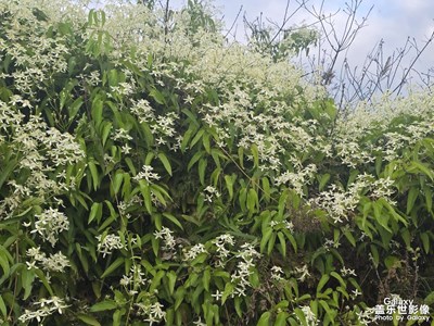 【光影一刻】+重慶隨拍