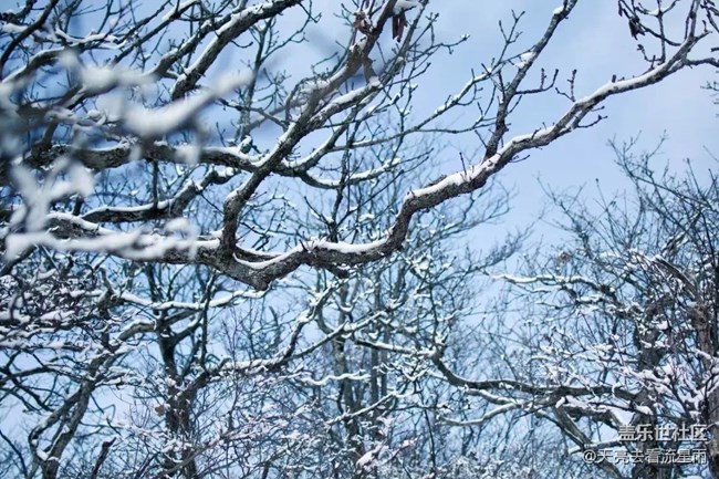 問鼎浙西天目山之藥王山（二）